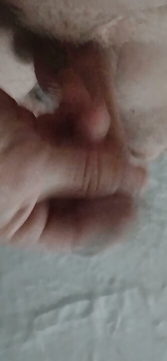 The Timid