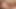 SOUTHERNSTROKES Andy Ford And Curtis Cameron Raw Breeding