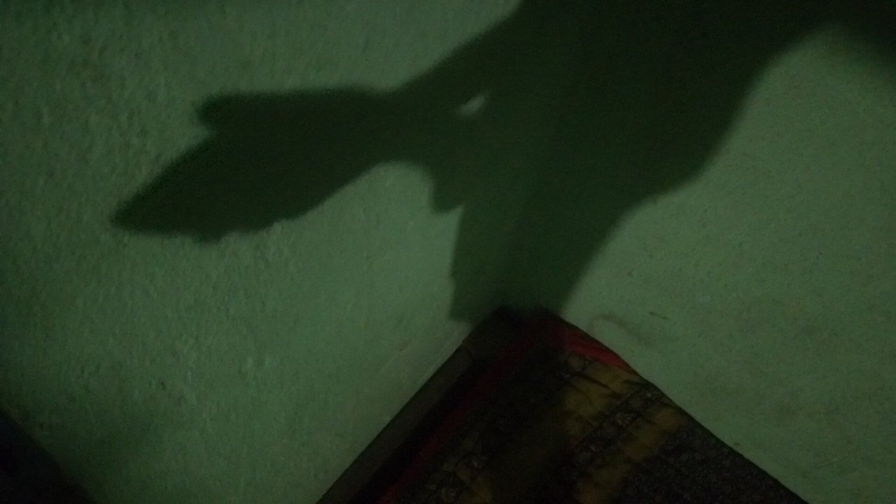 This is my Hot cock