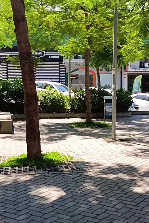 광장에서 의붓아들이 차를 타고 가길 기다리고 있었다.