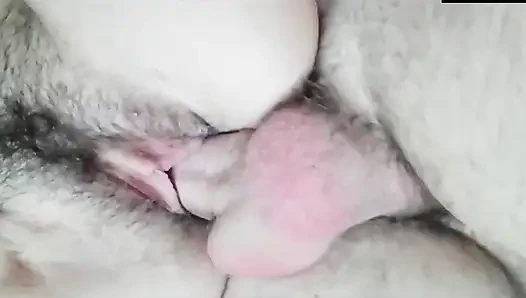 Verrückt nach behaarter muschi