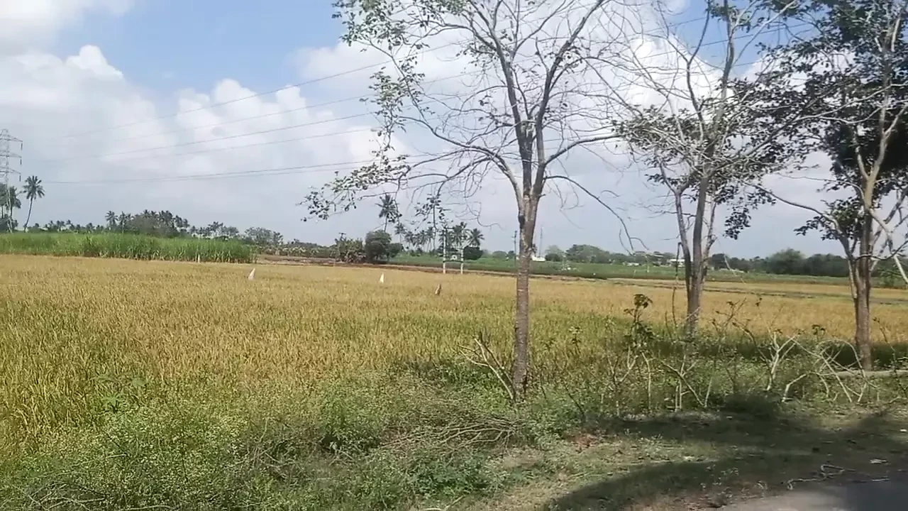 Tamil housewife big boobs show in village house