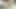 Kredi4k. piliç çaresiz ve kredi müdürü onu sikikleri
