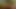 Homemade masturbation