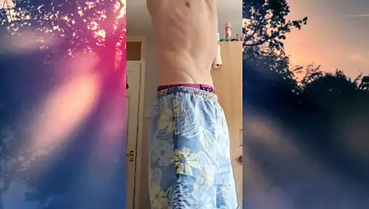 Fitness model
