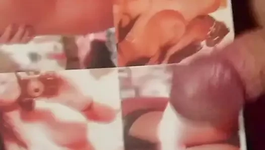 yvonnex3 için haraç