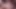 Girl Masturbates Pussy with Dildo and Gives Blowjob - Peeping