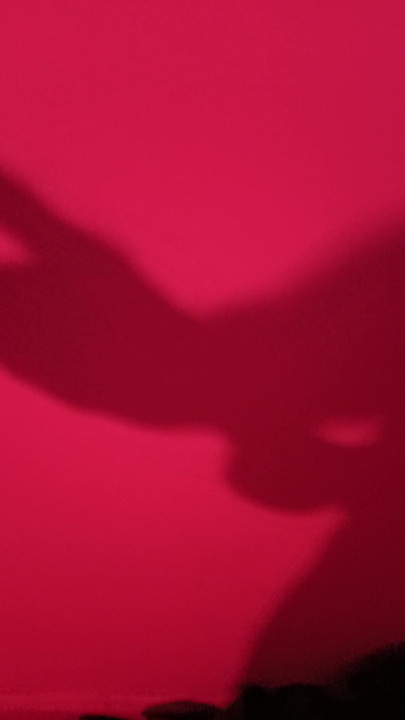 Shadow masturbation