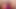 Hintli seksi kız sari giyiyor