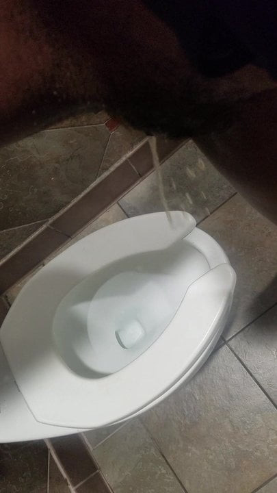 pissing in american deli