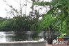 Pratinjau video