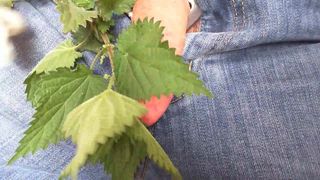 Stinging nettles cock torture