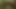 アストリッド・ベイヨン