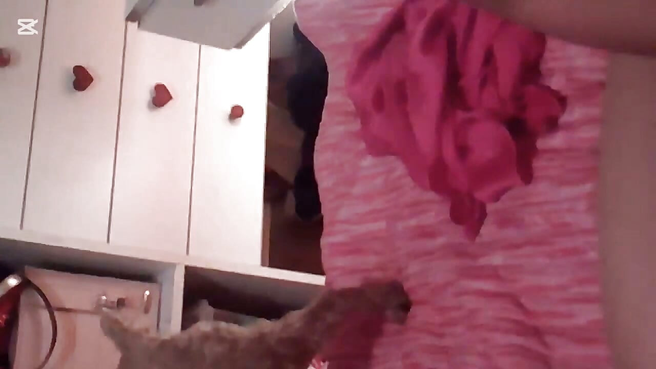 Kamasutra Orální vaginální con final Feliz
