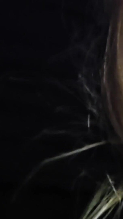 Real stepsis sneaked into my room just to suck out my sperm oral creampie | Clip 2