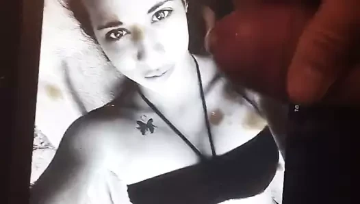 seksilibbi için cumtribute