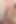 Blowjob and Homemade Anal Sex