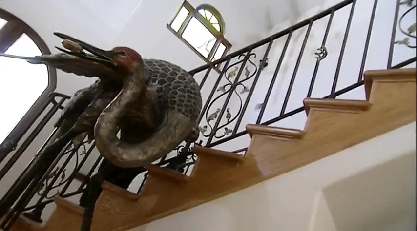 Stunning girls share a cocky dude drilling them to contentment