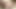 Husband eating tasty horny wife and sharing that big ass with his friend recorded home video