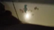 Previzualizare clip video