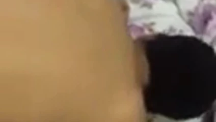 turk pasif 4