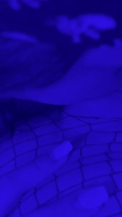 ปาร์ตี้รับปริญญาถูกควบคุมไม่ได้และสุดท้ายฉันก็เย็ดเพื่อนสนิทของฉันจากวิทยาลัย คลิป 1