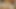 Strip and Slip Hump Masturbation