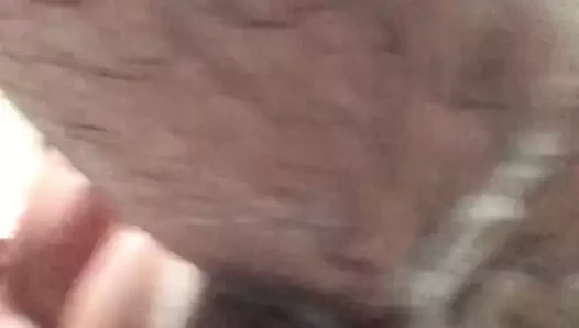 anal fiş