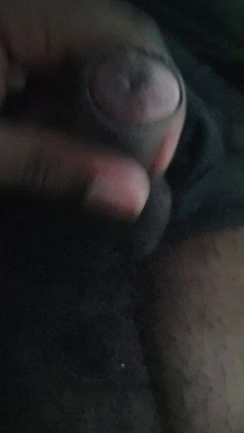 My penis like it? Please comment and interested to have licking ledies pussy pm me please. I love licking