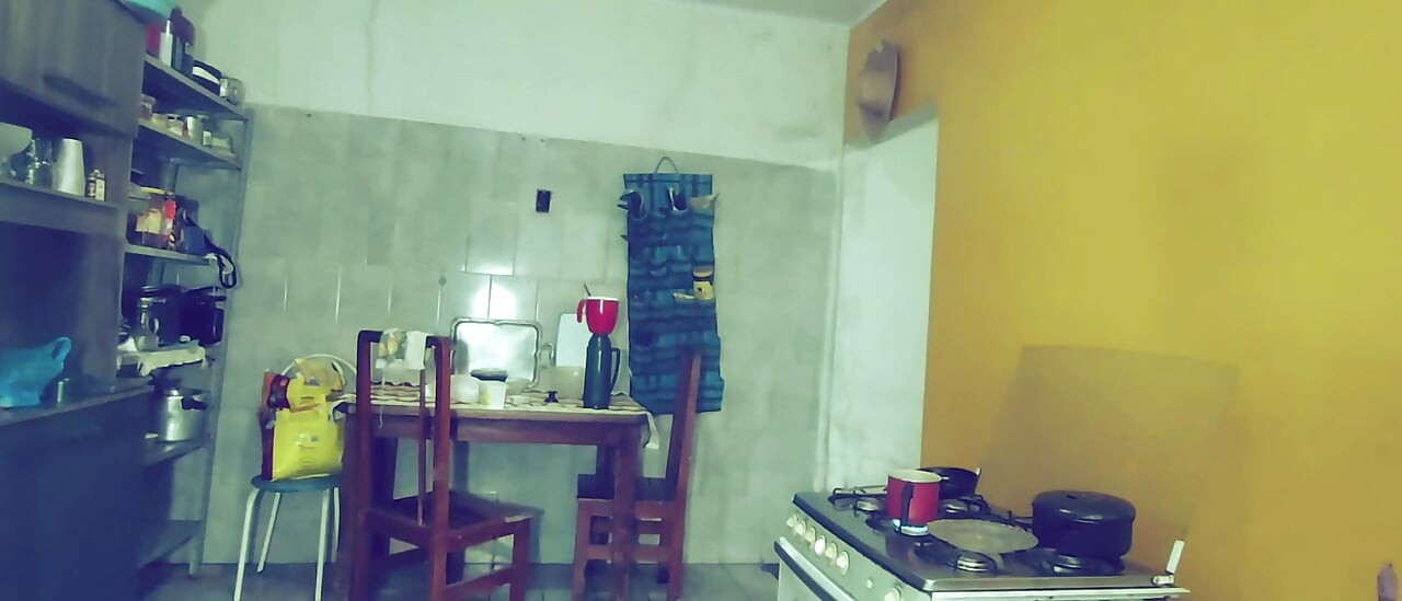 Cleaning the House