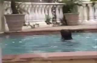 Anal 3some At  The Pool