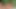 フィットな女の子たちが私の10インチBBCストラップで犯される