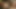 セクシーな女の子が前かがみになり、恋人が巨大なチンポにきつく膣を犯されるのを楽しんでいる