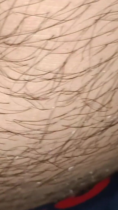 Iconic moment from "I didn't come 🛢️ with oil on my penis today"