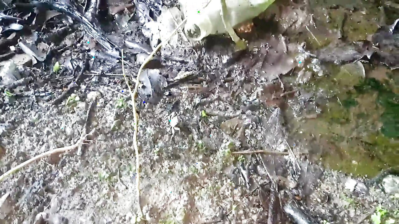 Alex Lima and Fire Wizard Got Together to Roll Paty Butt