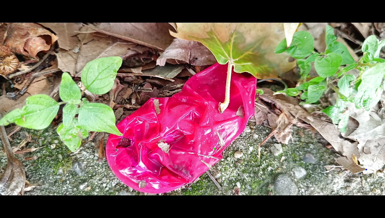 Used Condom #6