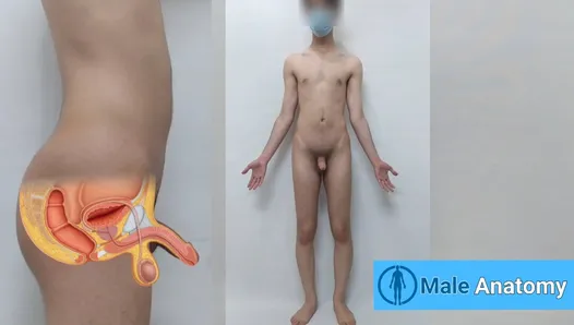 Tutorial de anatomia masculina real, estudando a anatomia do corpo do homem nu (Danieltp2002) (garoto iraniano)