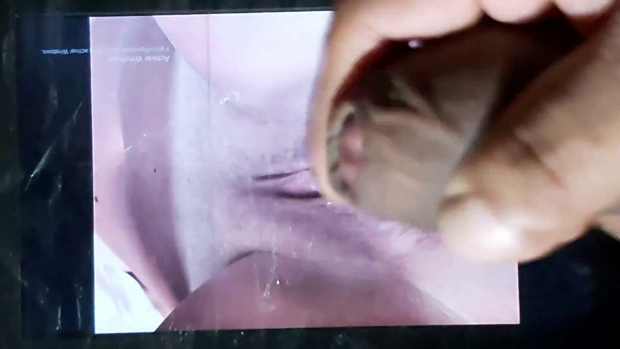 Cum tribute to snittys