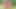 I convinced a young Colombian to let me record while I masturbate him