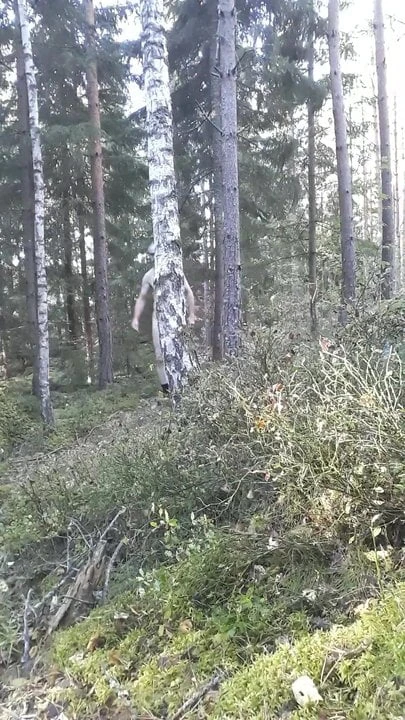 naked in public forest