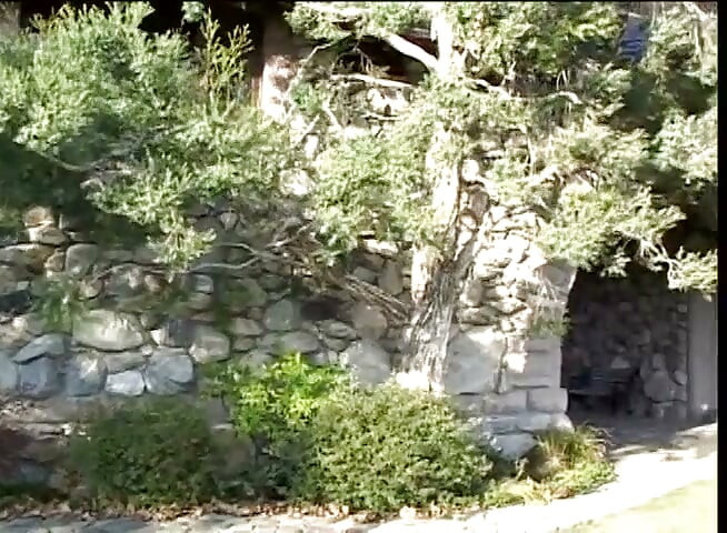 Piercing pussy fucking big cock sucking in the garden