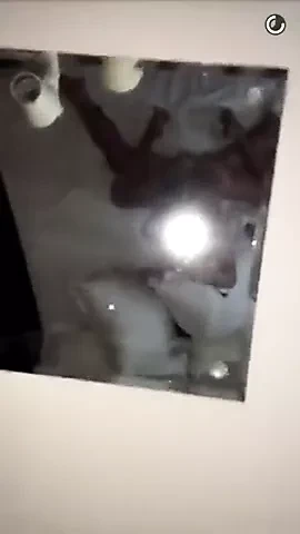 Ts F