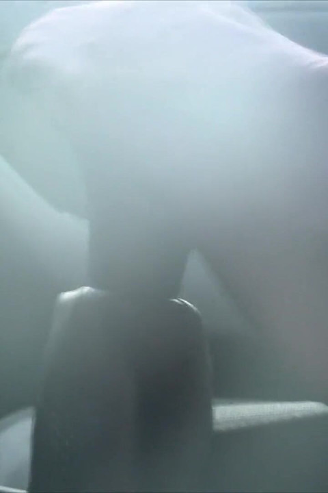 Nyllady's Footjob to Gearshift and Wheel in Patterned Pantyhose