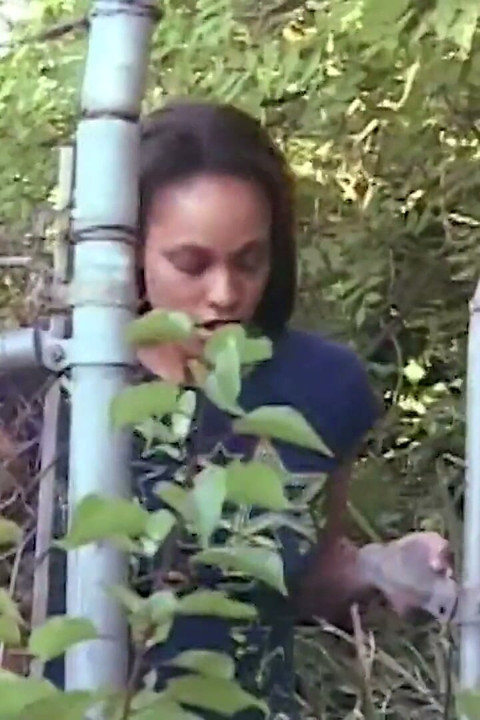Ela passou para fazer sexo lésbico com sua melhor amiga milf