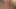 Hairy Bear Breeds Smooth Collared Cub HARD