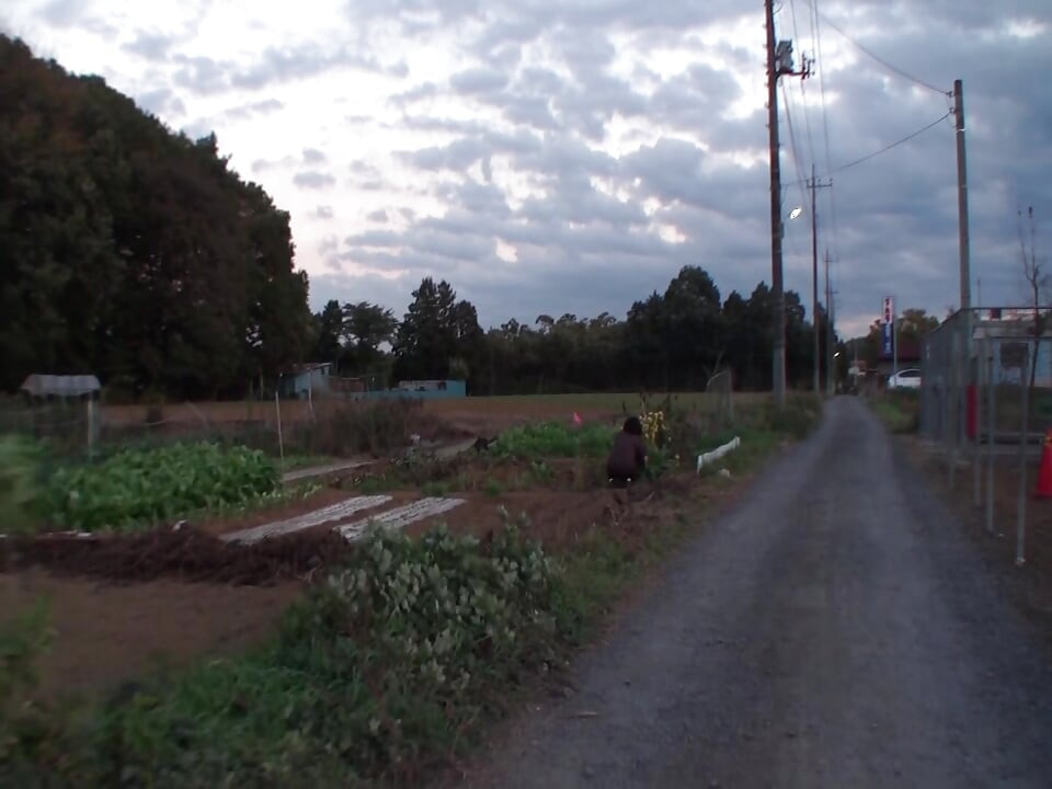 A123G05 Mature women working on the farm are interviewed on TV shows and picked up to invite them to their rooms! Intense pounding sex with a young on a mature woman starving for stimulation living in the countryside!
