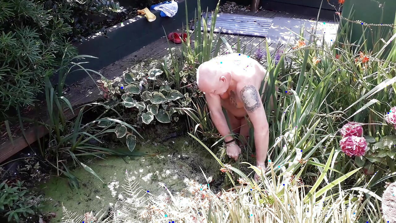 The life of a naked handyman, called next door to clean out the pond