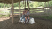 Pregled videozapisa