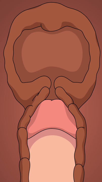 FAMILY GUY PETER CREAMPIES LOIS FULL VIDEO | Clip 2