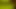 Neon green feet